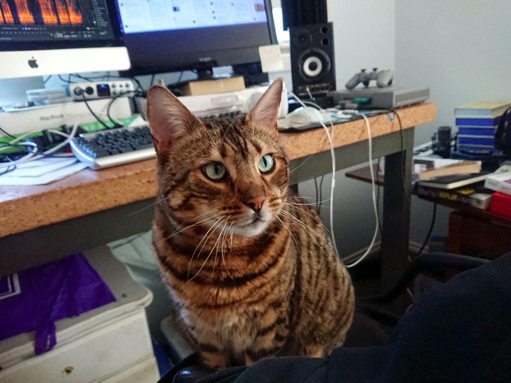 Max blocks me from editing my recordings