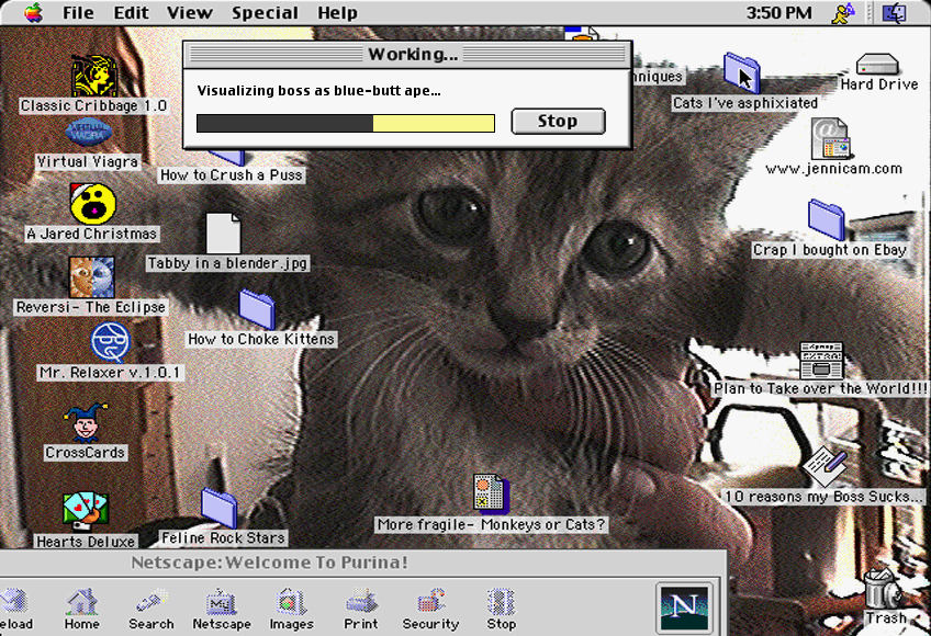 A screenshot of Freeverse Software's boss button screen, which features a fake desktop showing a cute kitten, a fake progress bar, and various folders and files in the background with disturbing or funny names.